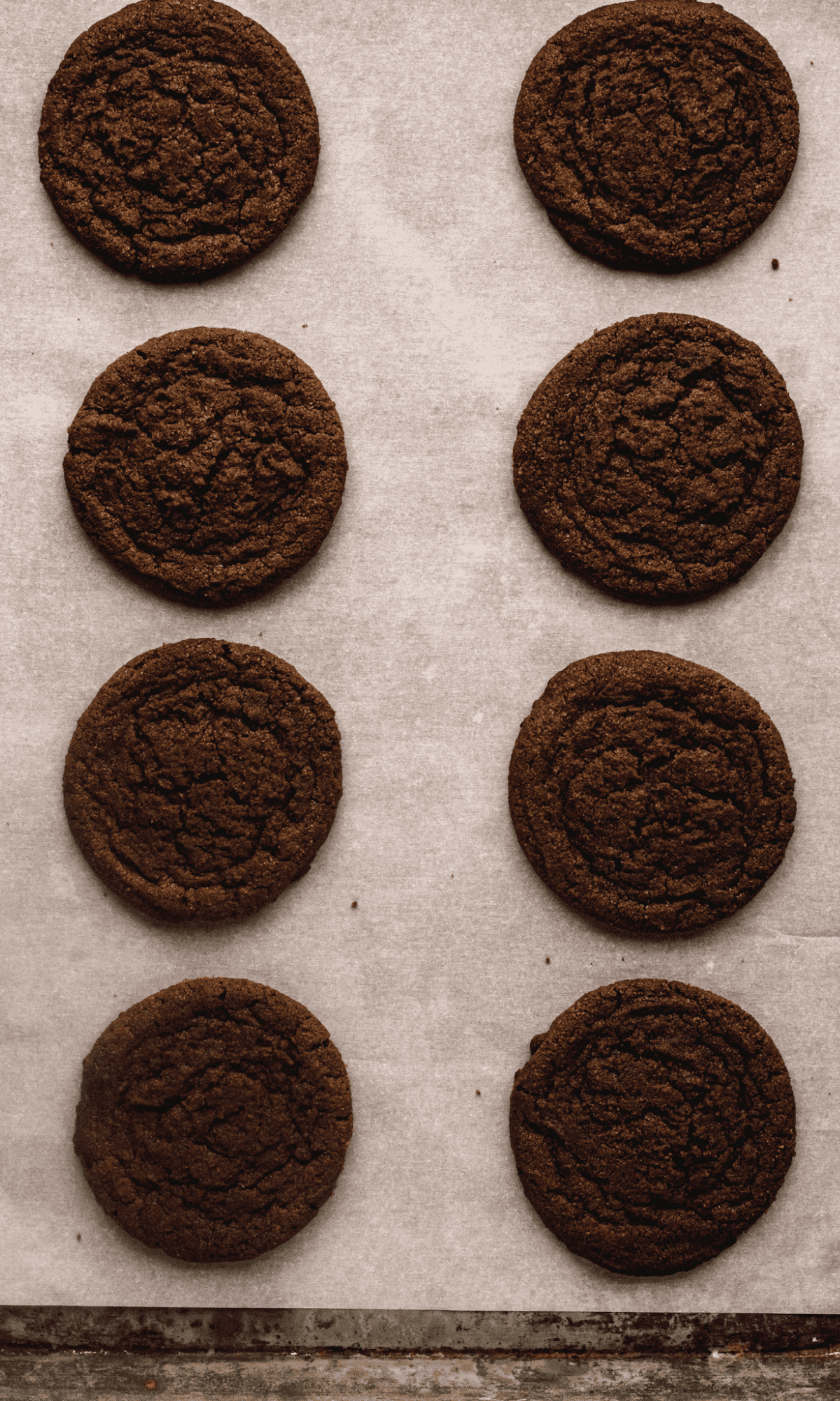 Overhead shot of Chocolate Cookies on parchment paper.