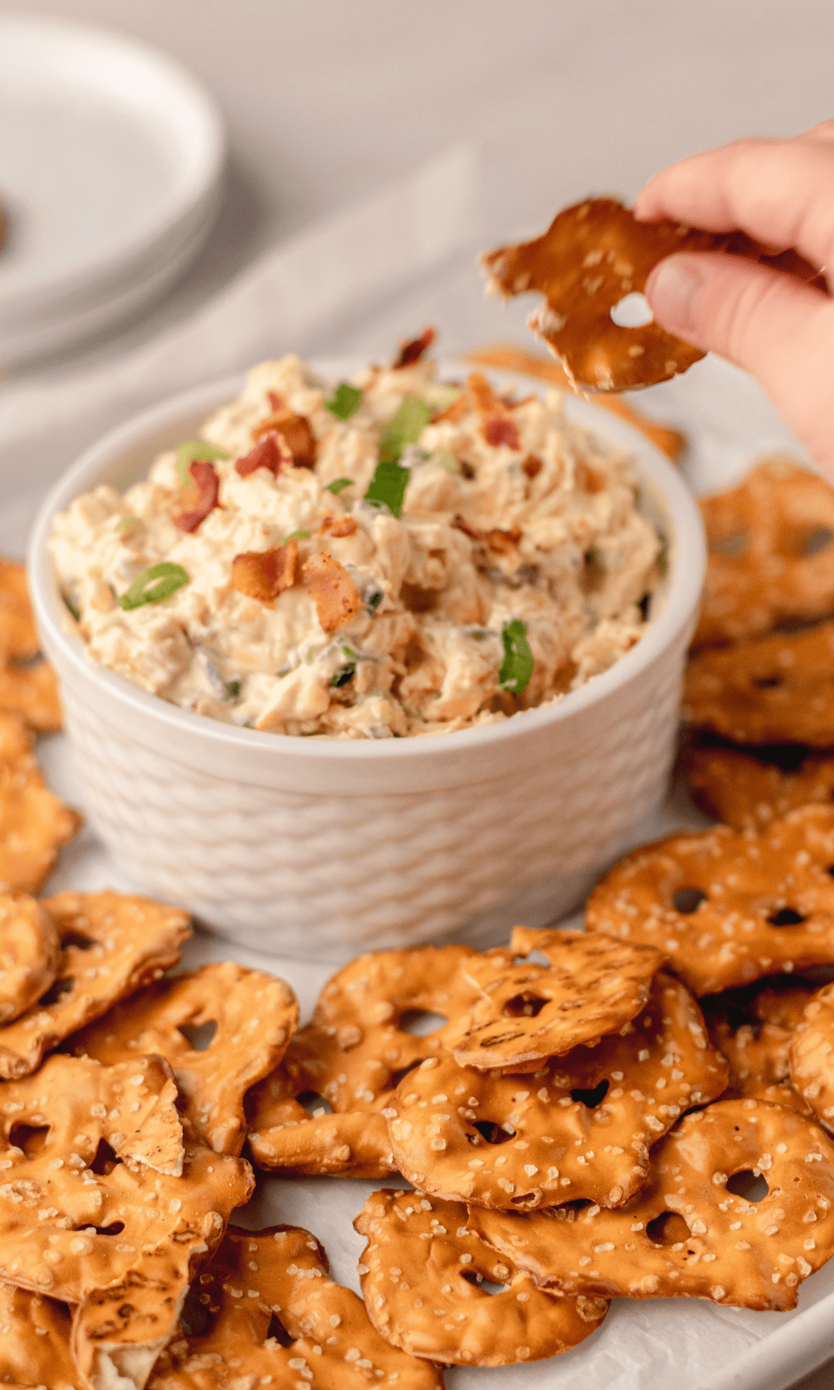 What To Dip Pretzels In - 25+ Ideas - Dizzy Busy and Hungry!