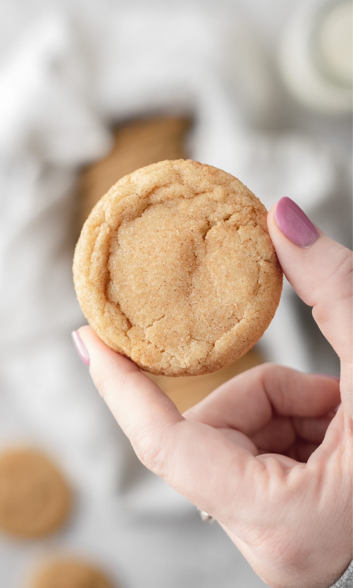 Close-up shot of a snickerdoodle cookie.