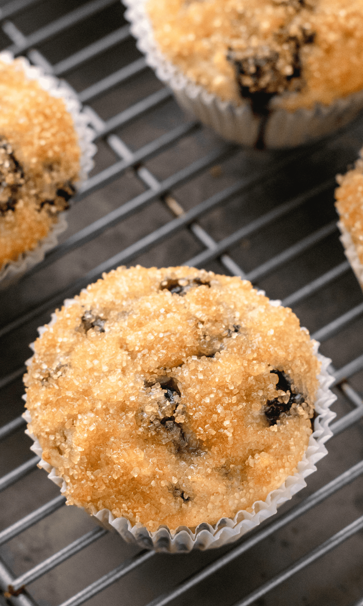 Close up shot of oatmeal blueberry banana muffin on cooling rack.