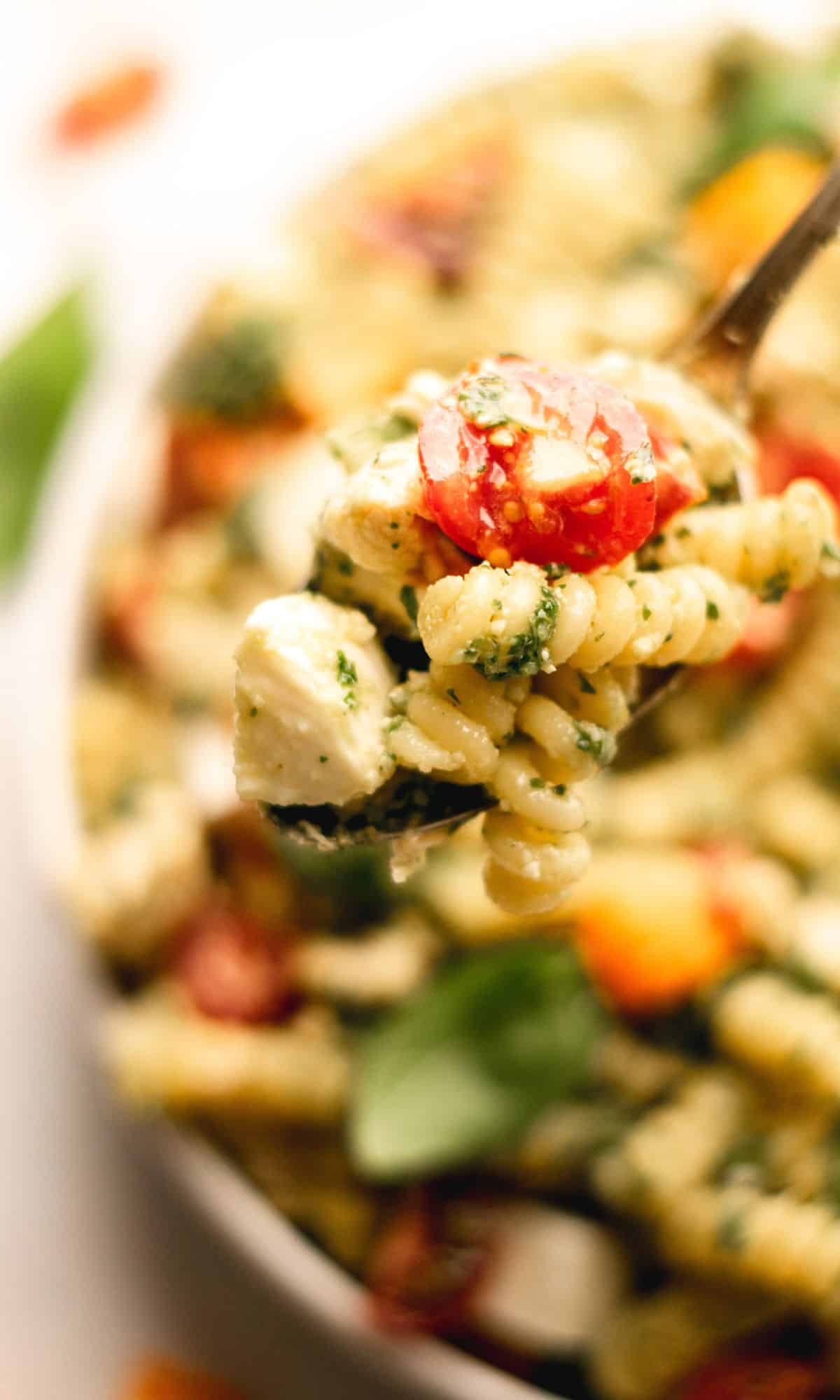 A spoon full of pesto pasta salad with fresh mozzarella and tomato.