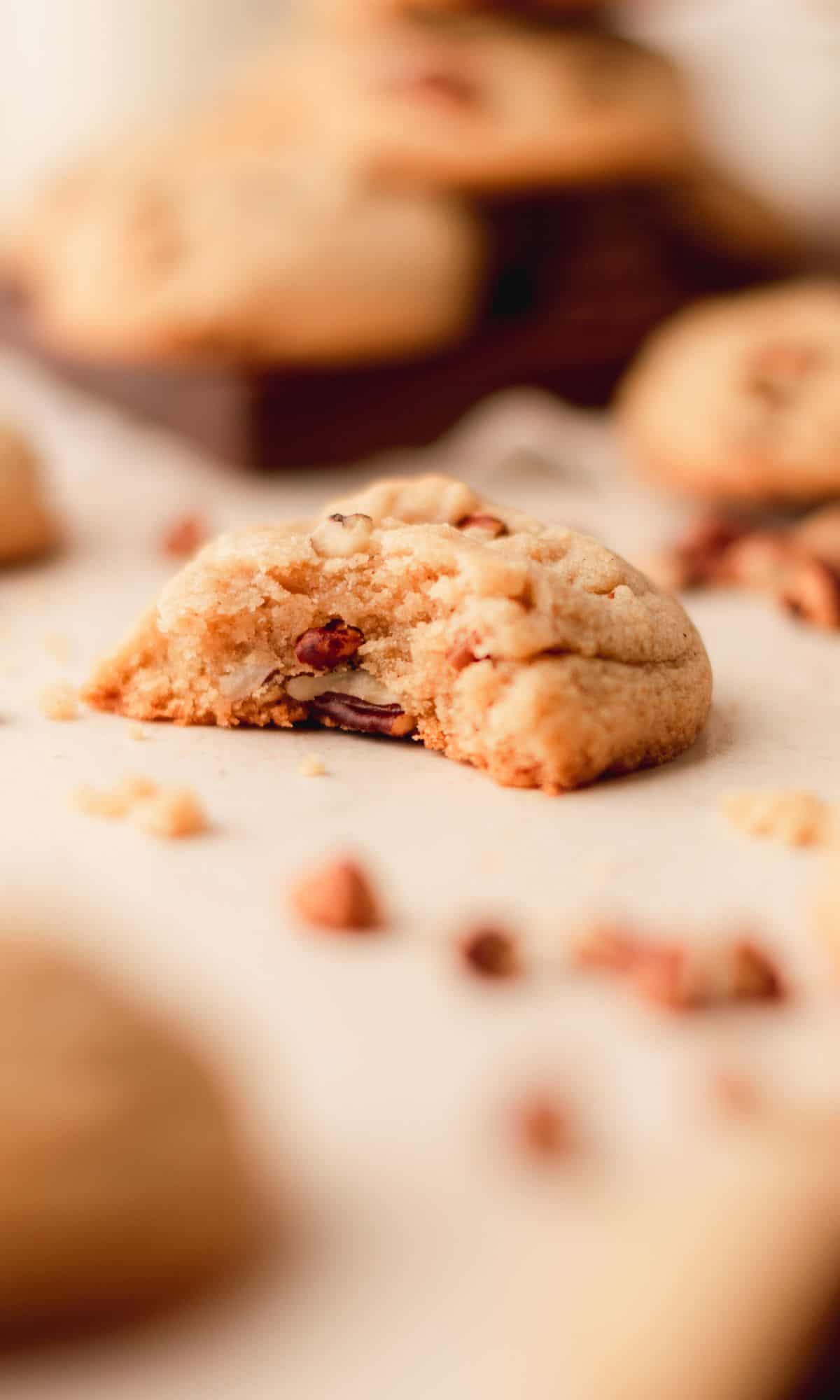 A pecan spice cookie with a bite taken out of it.