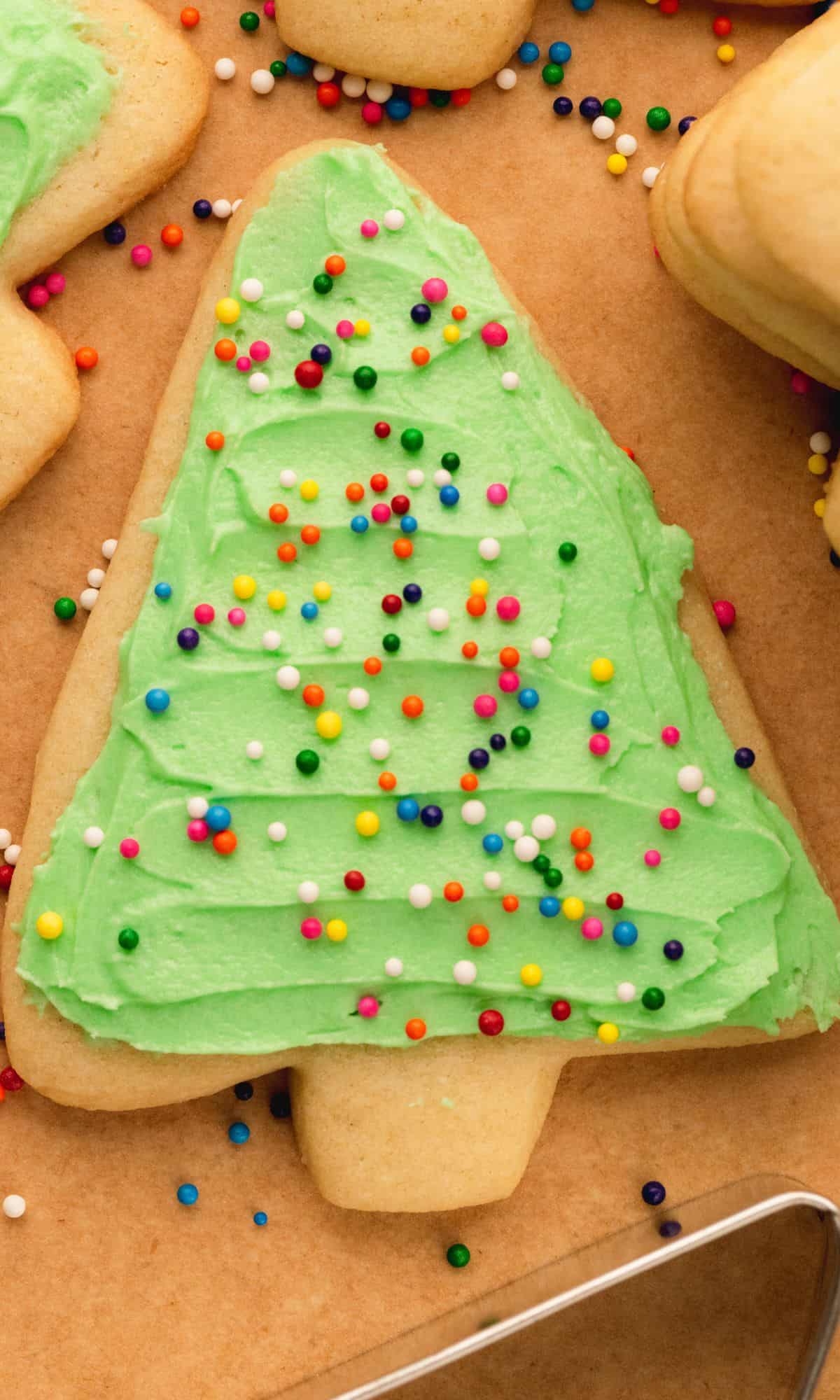 A frosted Christmas tree cookie with sprinkles.