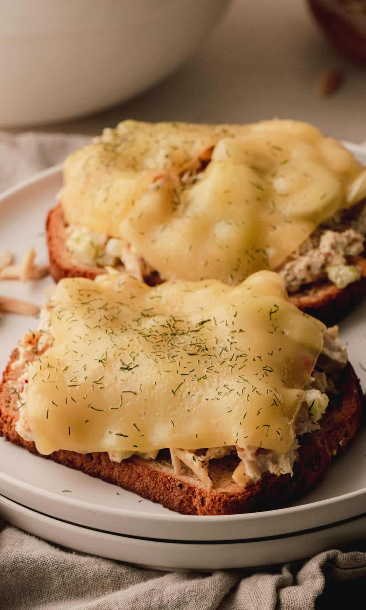 Tuna melt sandwiches on a white plate.