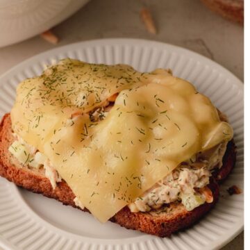 An open face sandwich on a white plate.