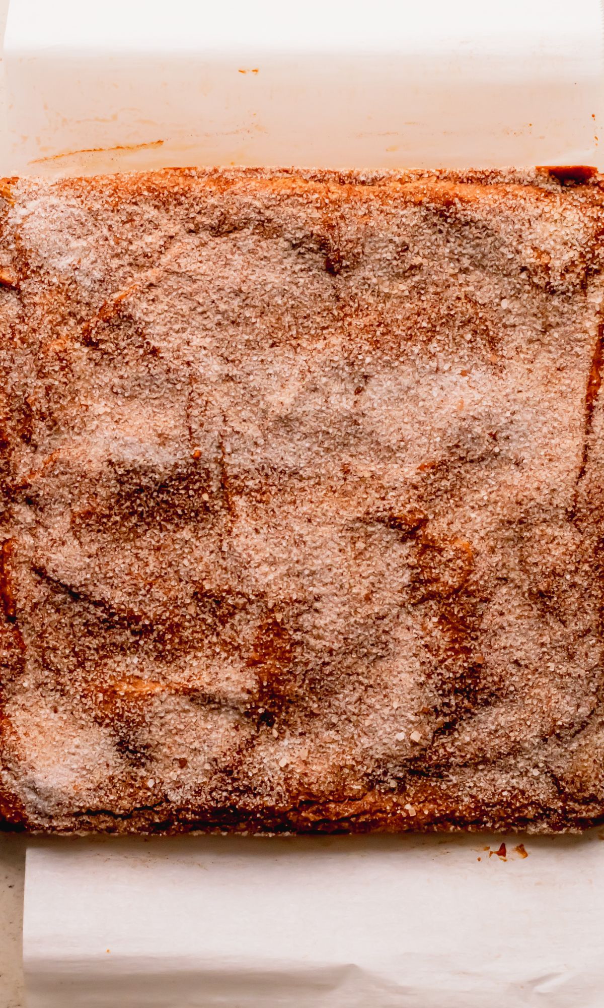 Baked pumpking blondies out of pan.