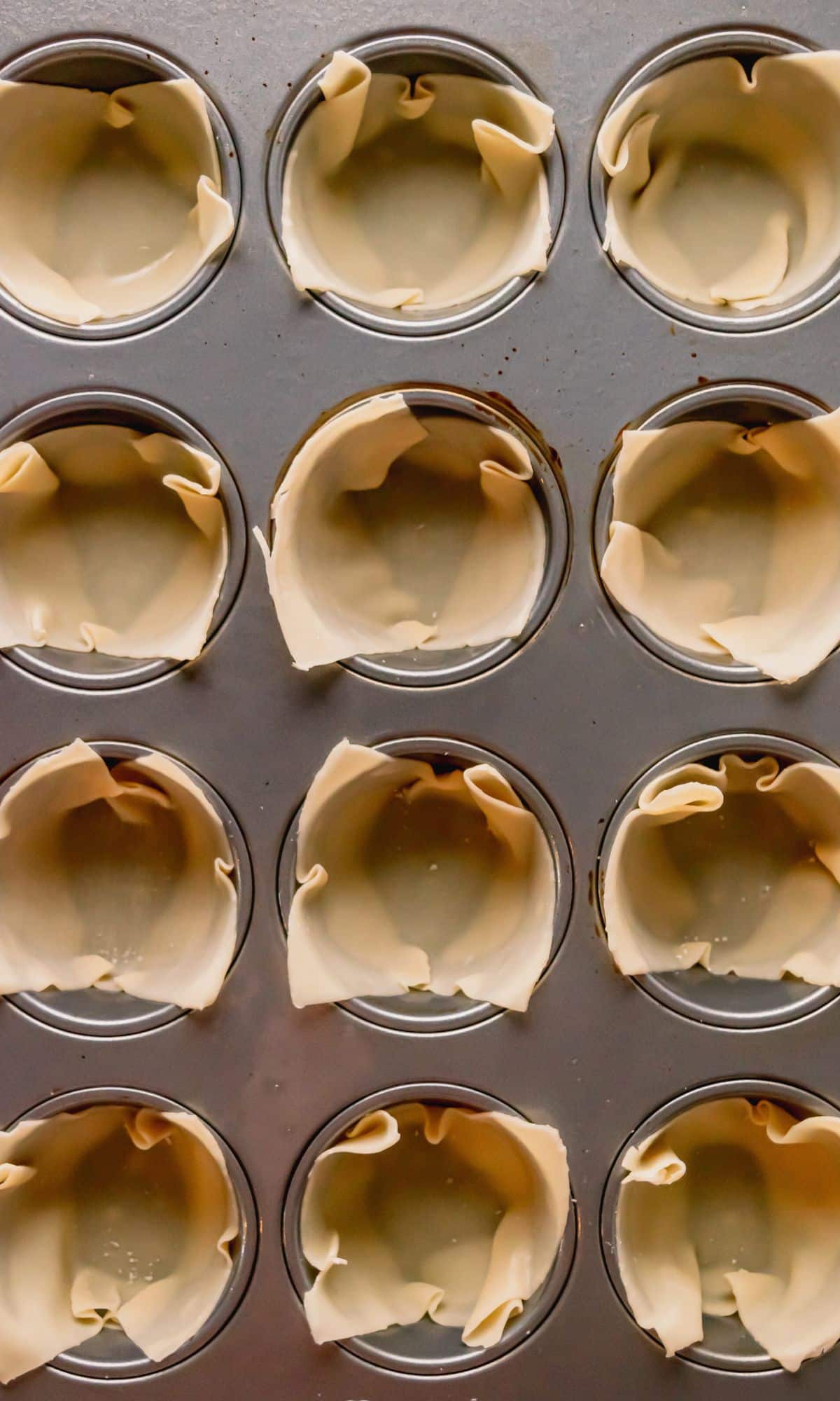Wonton skins in muffin tin.