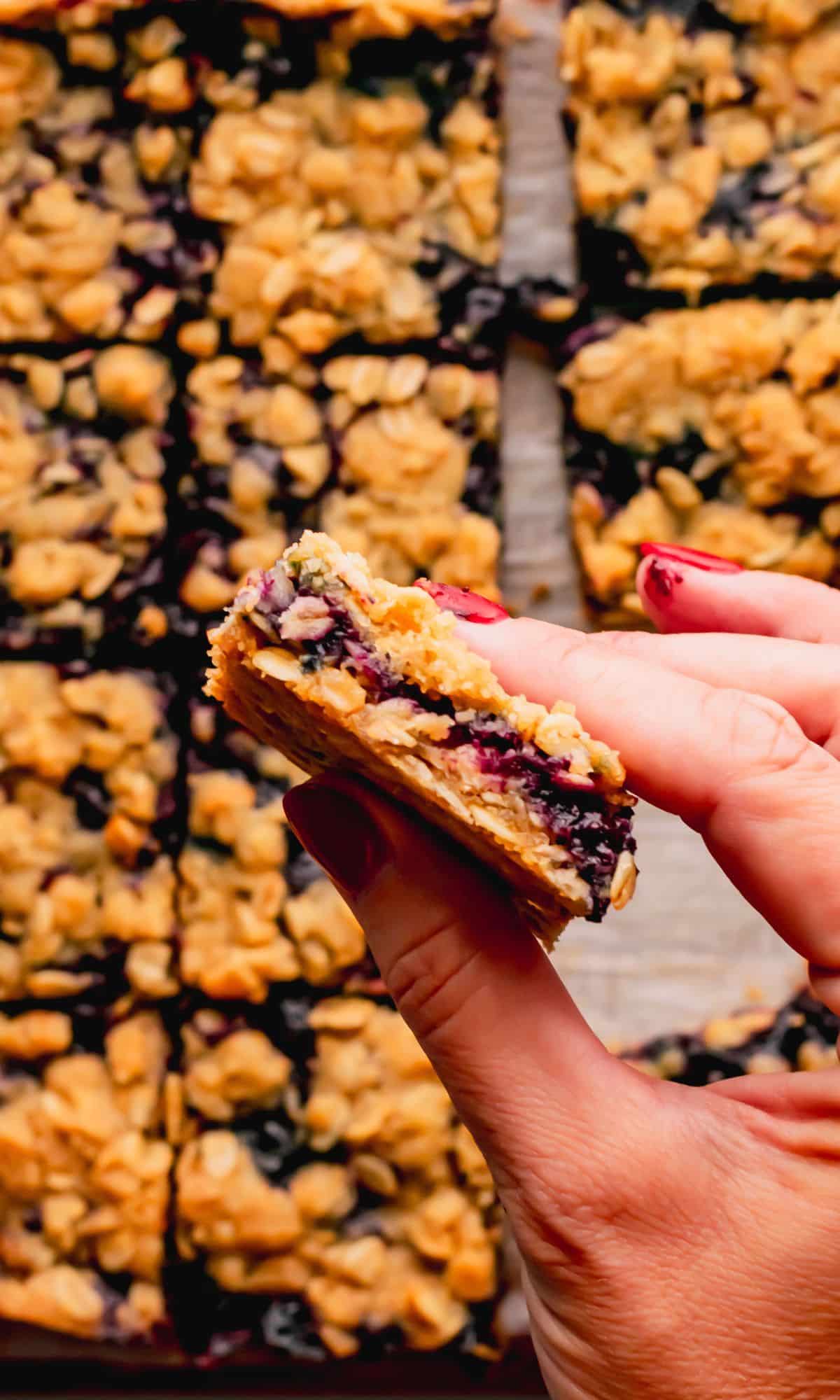 A blueberry bar close up.